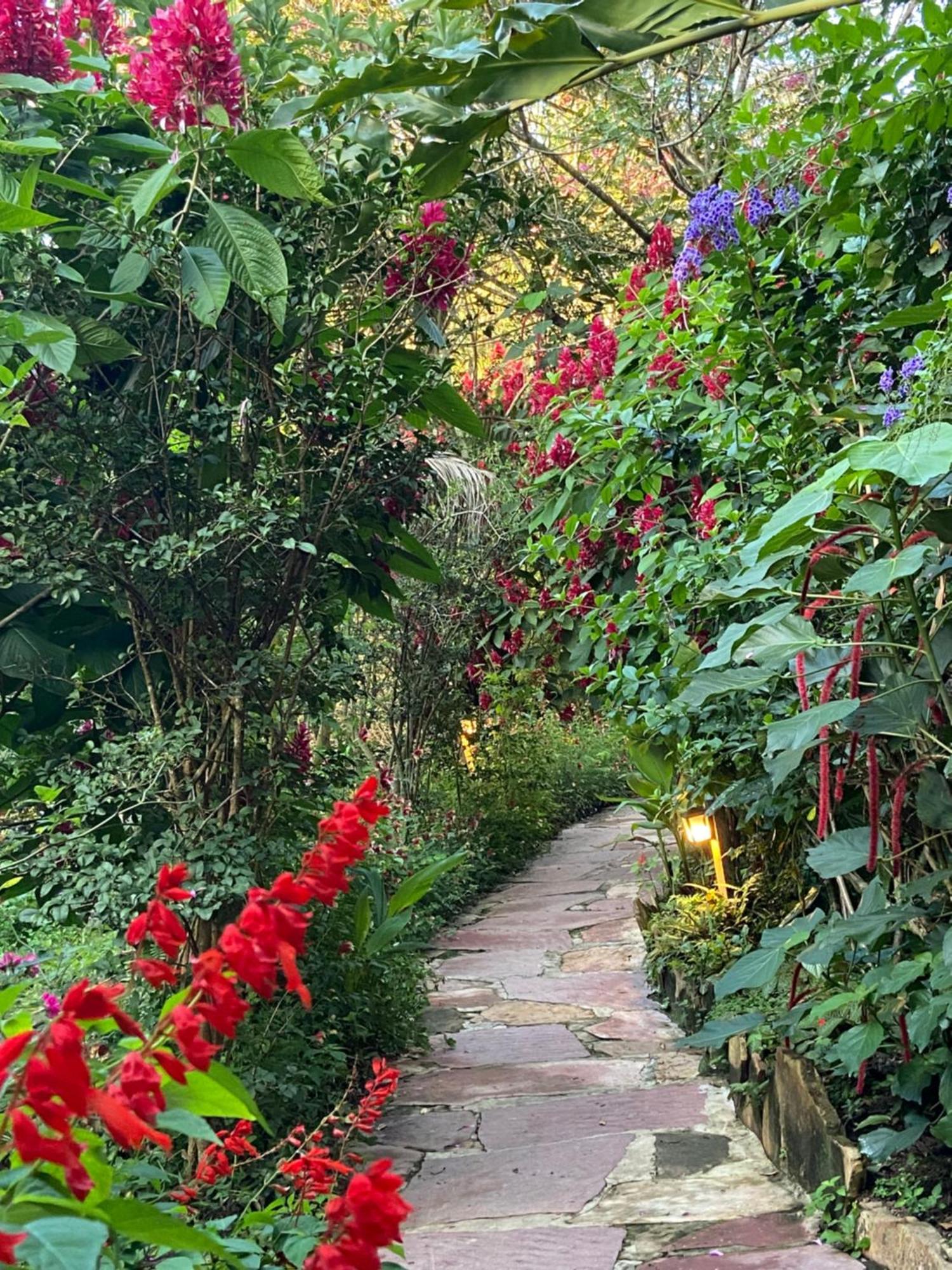 Vila Esperanca Vale do Capao Dış mekan fotoğraf