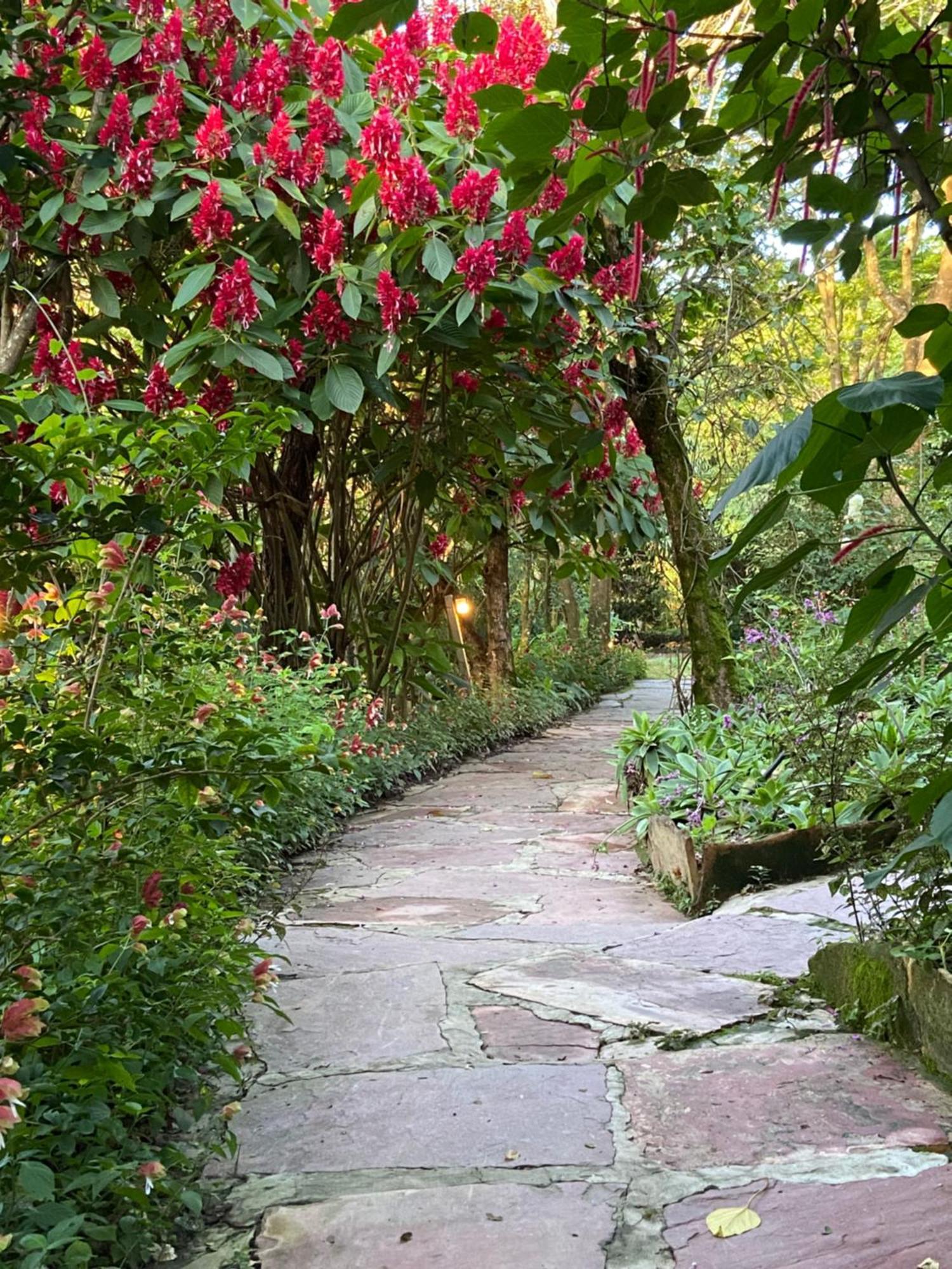 Vila Esperanca Vale do Capao Dış mekan fotoğraf